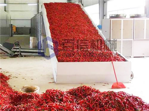 辣椒烘干現(xiàn)場展示