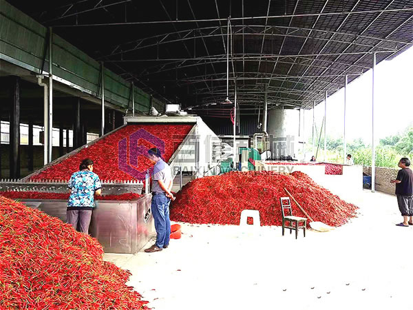 辣椒烘干生產(chǎn)線