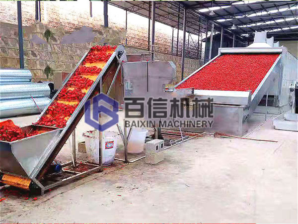 辣椒烘干現(xiàn)場展示