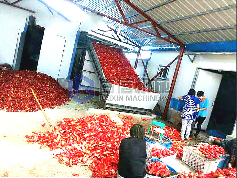 美人椒烘干機(jī)
